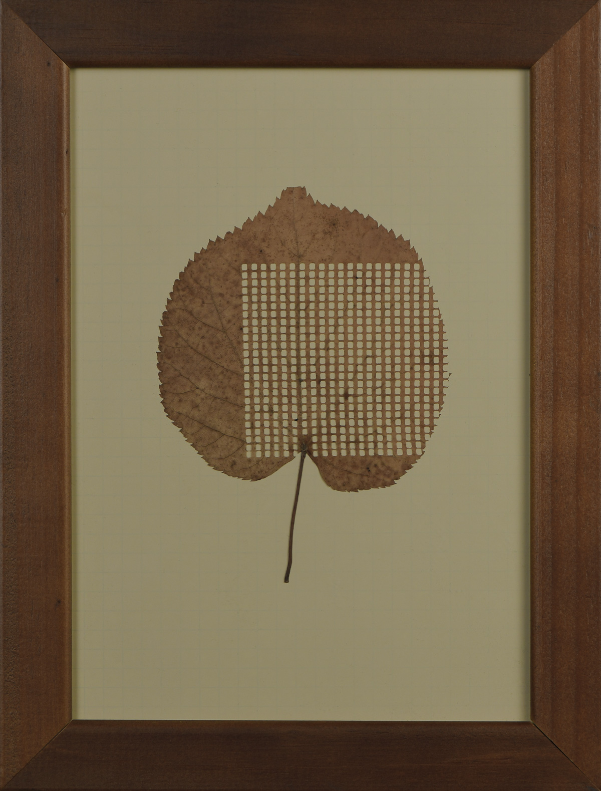 blatt, gestanzt